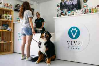 Noticias Franquicias | Vive Pet Resort