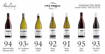Los vinos con ADN gallego entre los mejor valorados de España por Robert Parker 