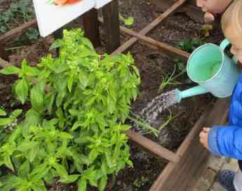 El 32% de las escuelas infantiles que gestiona Cavall de Cartró ya disponen del distintivo Escuela Verde