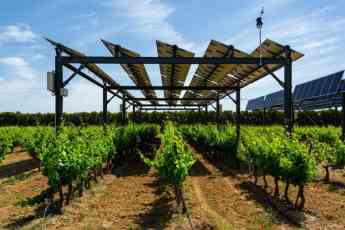 ESGeo España, Grupo Techedge, desarrolla Winesolar, un proyecto sostenible de energía fotovoltaica puesto en marcha en un viñedo de González Byass  