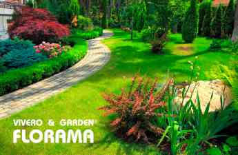 Cómo diseñar un jardín: técnicas, consejos e ideas originales, por VIVEROS FLORAMA