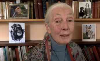Jane Goodall en la URL:  «"think globally, act locally" es el camino equivocado, porque pensar globalmente causa depresión»