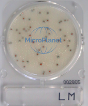 Compact Dry© LM, placa cromogénica para detección y recuento de L. monocytogenes en alimentos y otros