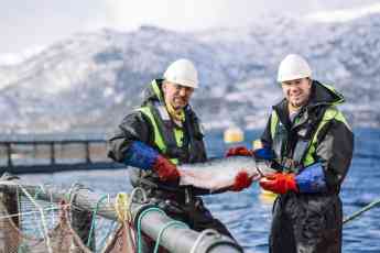 Noticias Gastronomía | Noruega es líder mundial en pesca y
