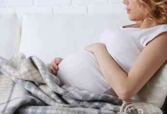 Avances en el conocimiento del mecanismo molecular del desarrollo embrionario mejorarán la fertilidad femenina