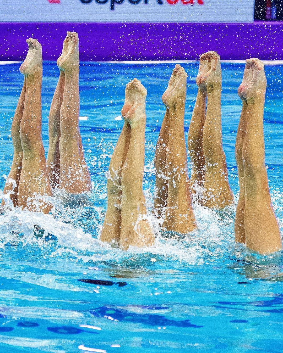 Fotografia Equipo de natación sincronizada 1