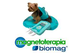Magnetoterapia Biomag explica qué es y cómo funciona la magnetoterapia veterinaria
