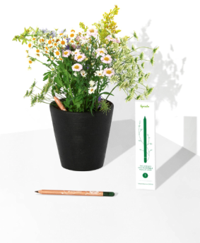 SproutWorld propone cómo sacar el máximo partido a las cejas con un delineador plantable 