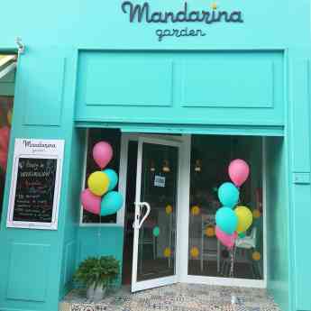 Noticias Franquicias | Mandarina Garden