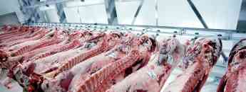 La cadena logística de frío supone el 15% del consumo eléctrico europeo