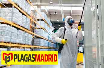 Noticias Hogar | PLAGAS MADRID: ¿Cómo encontrar los mejores
