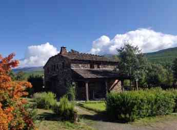 La tendencia "dogfriendly" y el aumento de la demanda de casas rurales con perros, por Casa Rural La Pizarra Negra