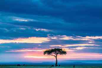 African Countries Tours anuncia su enfoque en el turismo sostenible en África