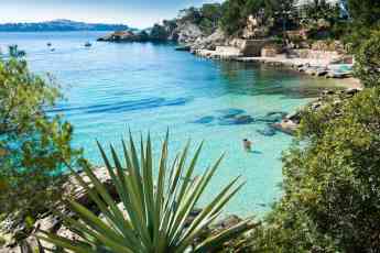 Calvià cierra el año de la recuperación del turismo con un fuerte impulso a la rentabilidad del sector