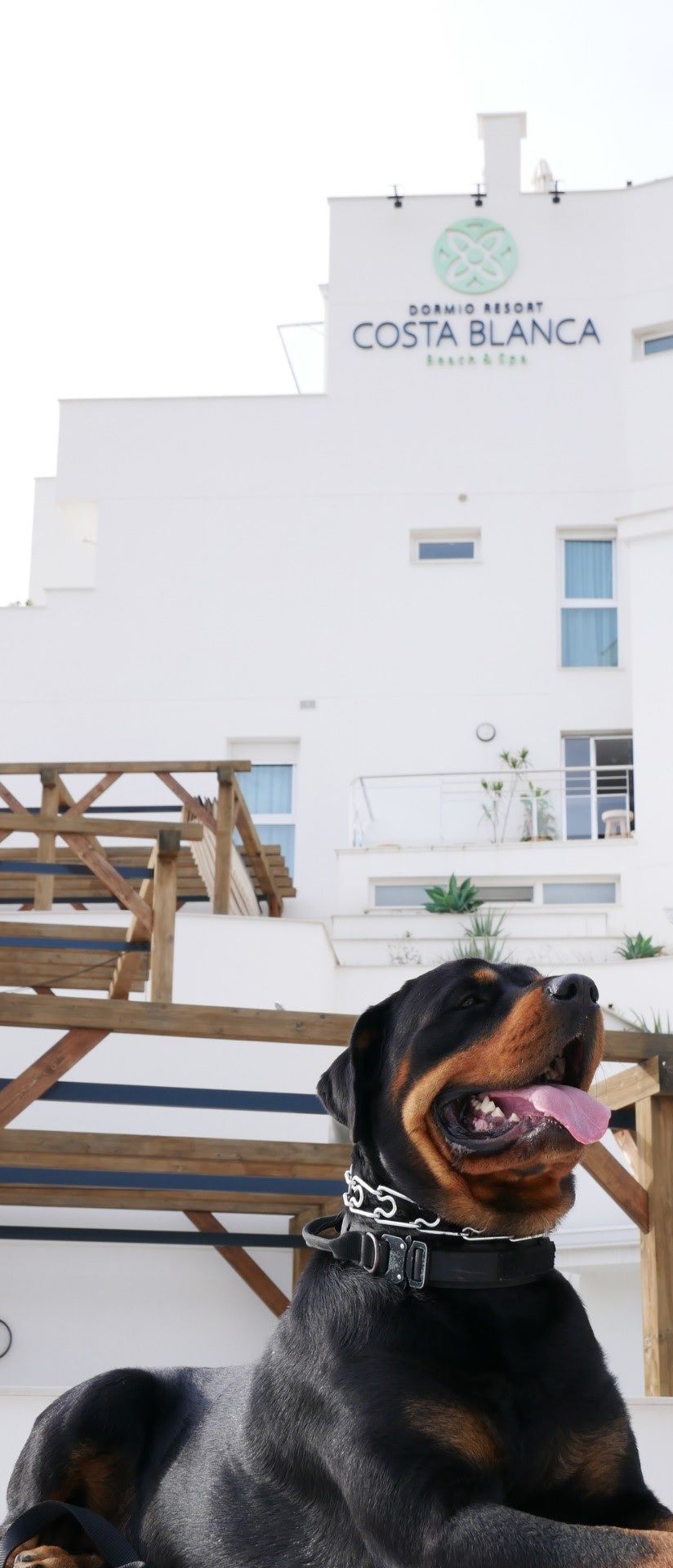  Dormio Resort Costa Blanca, un espacio Pet Friendly para disfrutar en familia
