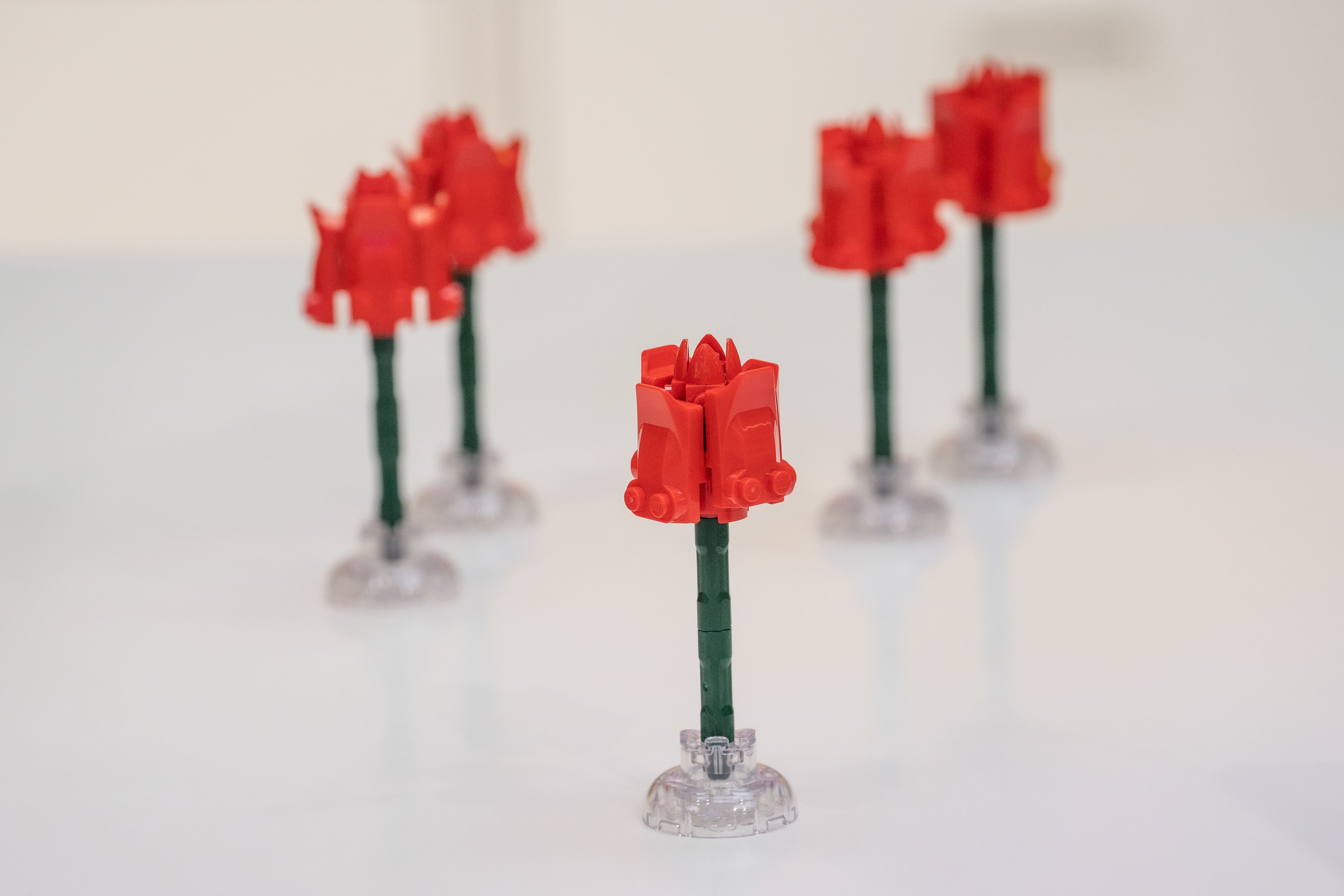 Fotografia Rosas LEGO para construir en tienda