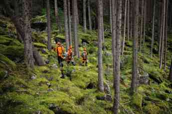 STIHL apuesta por la prevención en invierno como arma contra los incendios