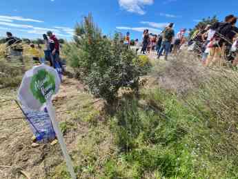 Fidalsa Holidays, duplica su inversión en reforestación con una iniciativa local