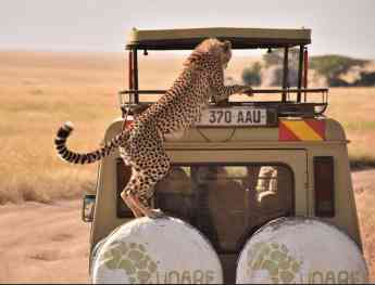 Noticias Viaje | Safari con Udare