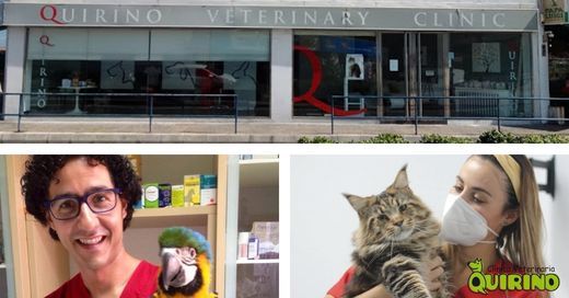 Fotografia UNAVETS anuncia sus centros veterinarios número 100 y 101