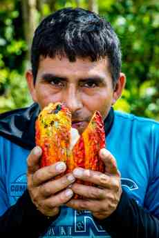 El cacao lidera la apuesta por los productos éticos, según Oikocredit