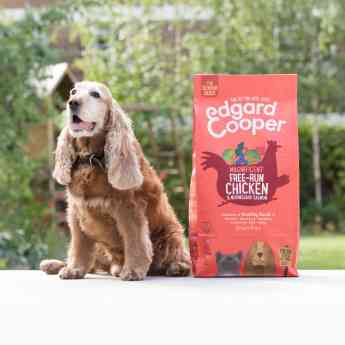 El 61% de los españoles cambiaría la marca de comida de su mascota si conociera mejor su composición, según una encuesta de Edgard & Cooper