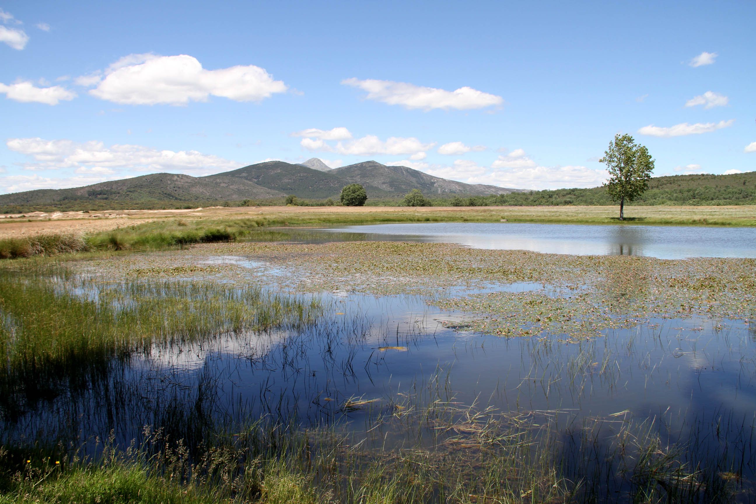 La Junta de Comunidades asigna a ADEL los fondos con los que gestionará el periodo 2023-2027