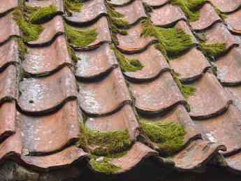 Noticias Hogar | Limpieza de tejados