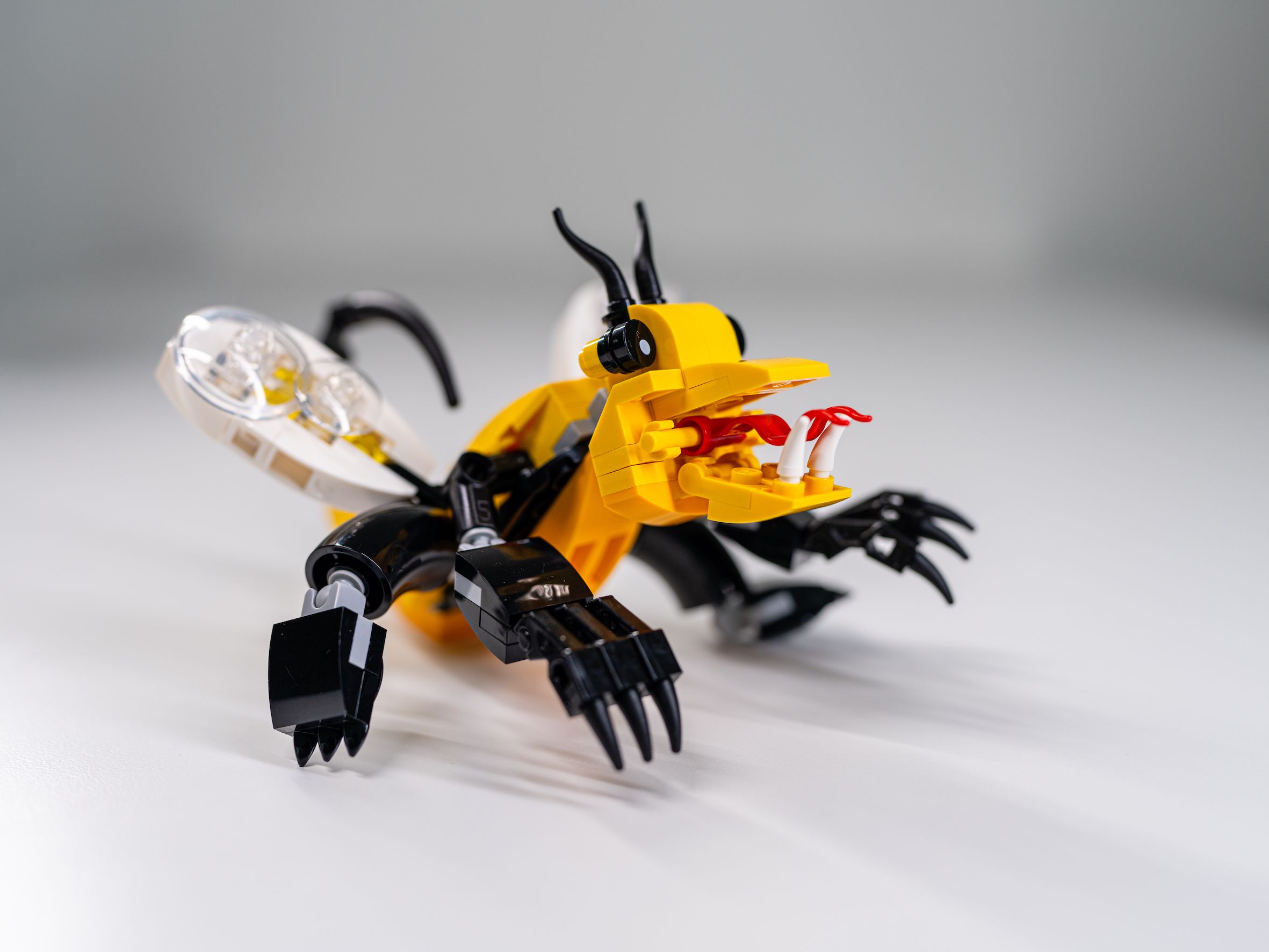 Fotografia The Vara Wasp