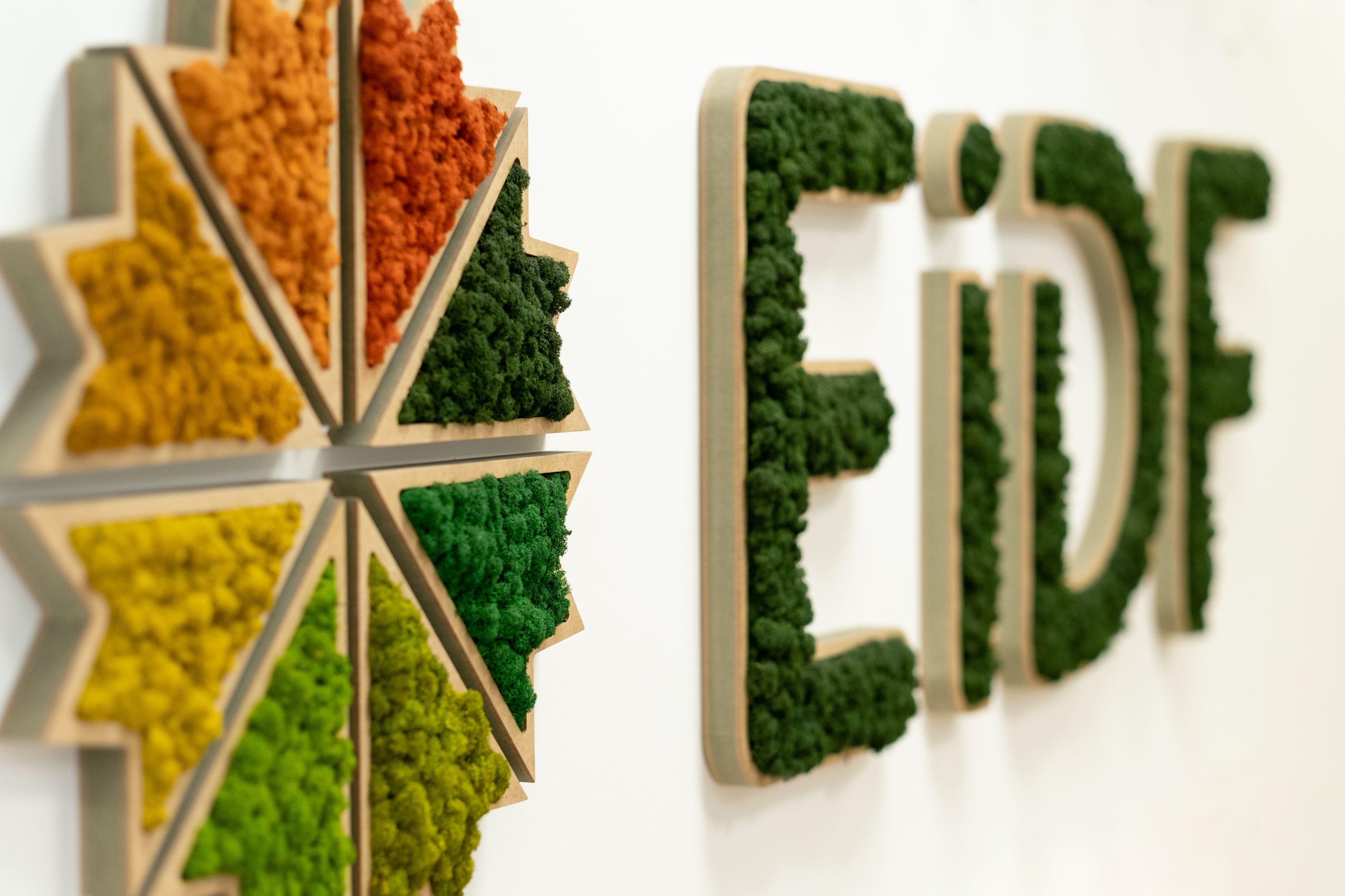 EiDF amortiza 8,1 millones en pagarés y suscribe nuevos pagarés por 10,7 millones