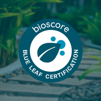 Noticias Sector Energético | Certificado Blue Leaf Bioscore 1