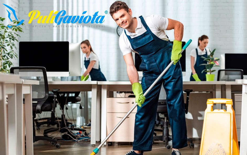 Razones para elegir una empresa de limpieza profesional, por Puligaviota