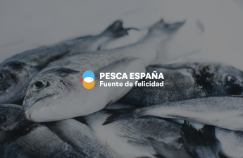Noticias Marketing | PESCA ESPAÑA