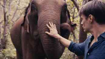 Noticias Cultura | Nicols con elefante