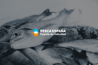 Noticias Madrid | Pesca España