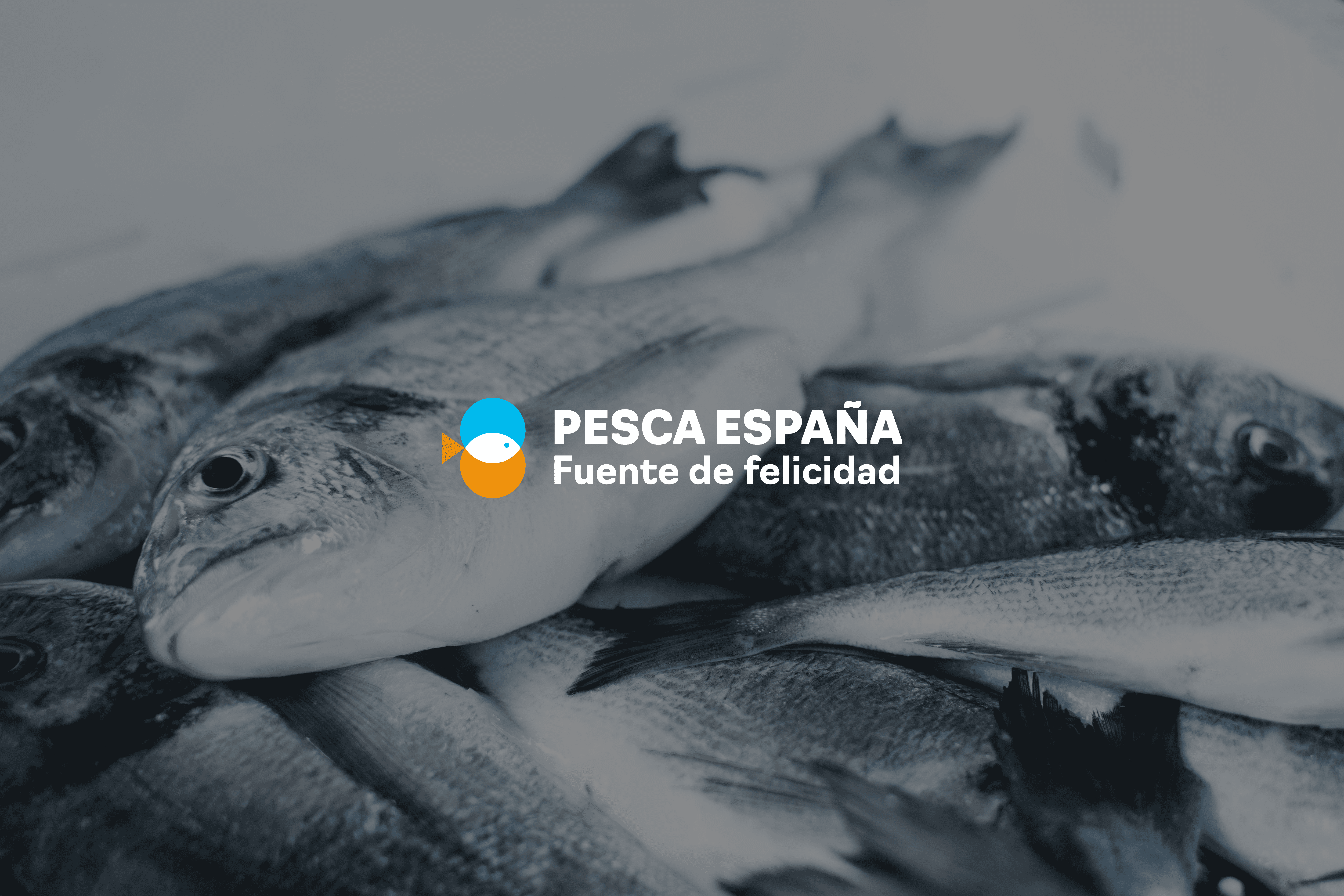El consumo de pescado reduce en un 20% el riesgo de mortalidad por infarto agudo de miocardio