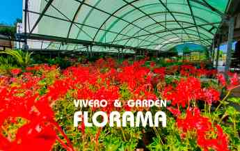 Noticias Nacional | Viveros Florama: un referente en jardinería en