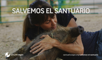 Noticias Madrid | Laura Luengo con uno de los animales rescatados