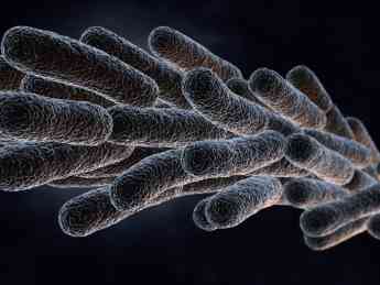 Noticias Nacional | Bacteria de la Legionella