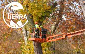 Noticias Madrid | La poda de otoño: una inversión en la salud de