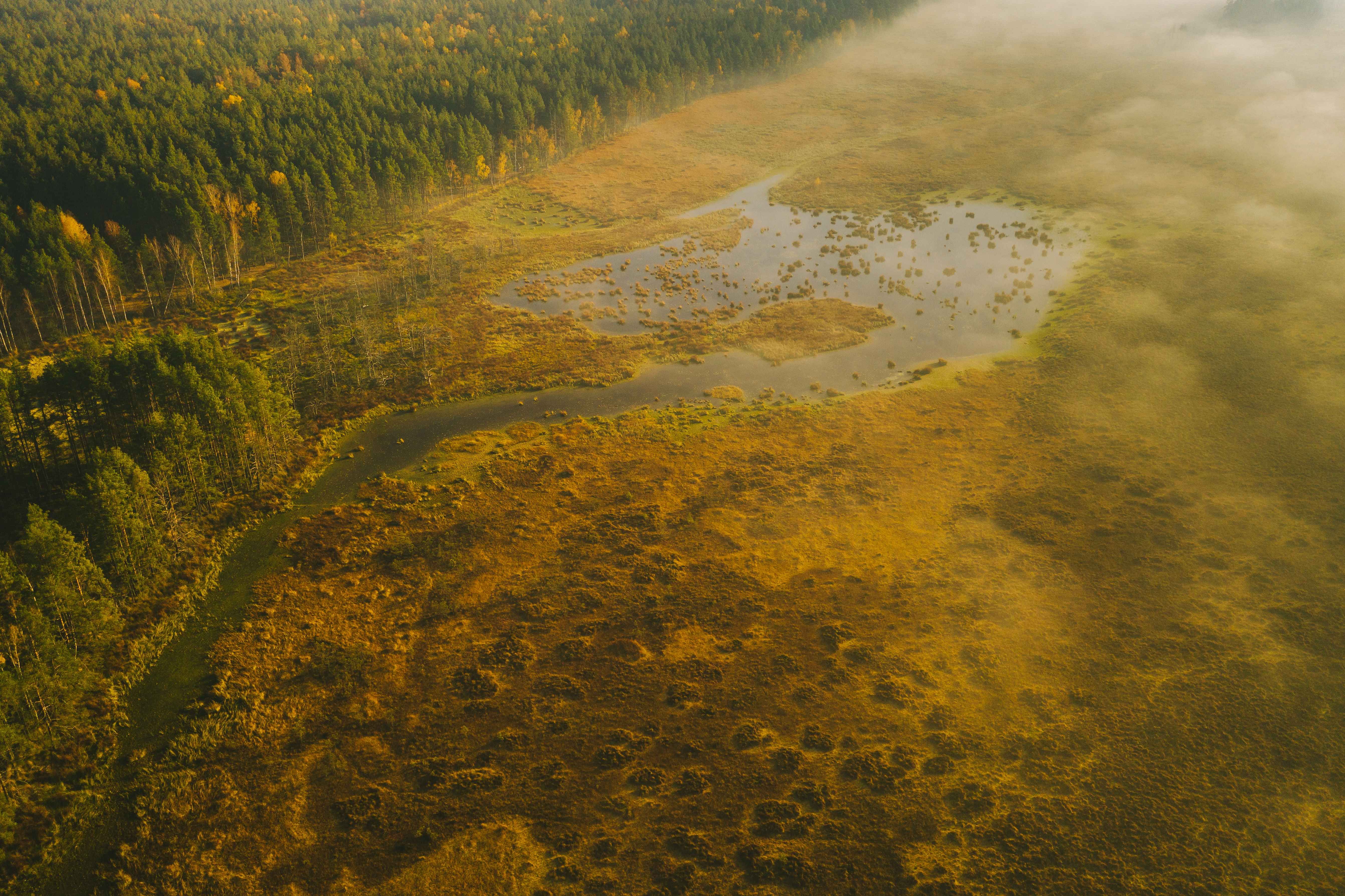 El encanto del otoño lituano: una sinfonía de colores y naturaleza viva