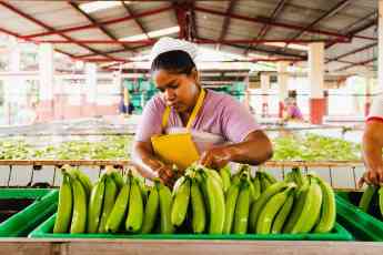 Noticias Turismo | Platano de Ecuador 