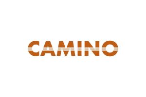 Noticias Internacional | Camino Minerals Corporation 