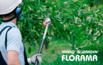 Noticias Estilo de vida | VIVEROS FLORAMA - Soluciones profesionales