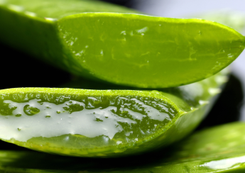 Ebanonatur se consolida como una tienda online de referencia en la venta de cosméticos elaborados a base de aloe vera