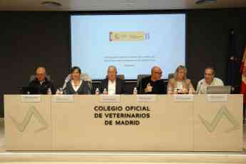 Entrada en vigor de la obligación de comunicar la prescripción de antibióticos a PRESVET para los animales de compañía