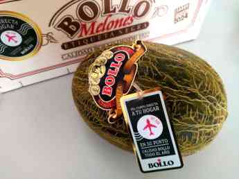 Bollo Natural Fruit se convierte en la primera compañía en comercializar 'melón por avión'