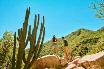 Alojarse en un rancho y paseos a caballo junto al mar: cómo disfrutar de Los Cabos como un choyero original