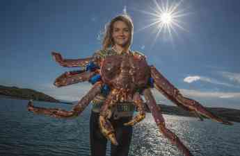 De salmón ahumado a 'king crab': Mar de Noruega exhibe sus pescados y mariscos más exquisitos por Navidad