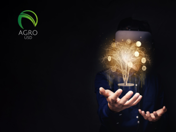 AgroUSD lanza un programa global de inclusión financiera basado en Blockchain